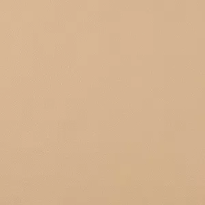 Nitro beige (Экокожа)